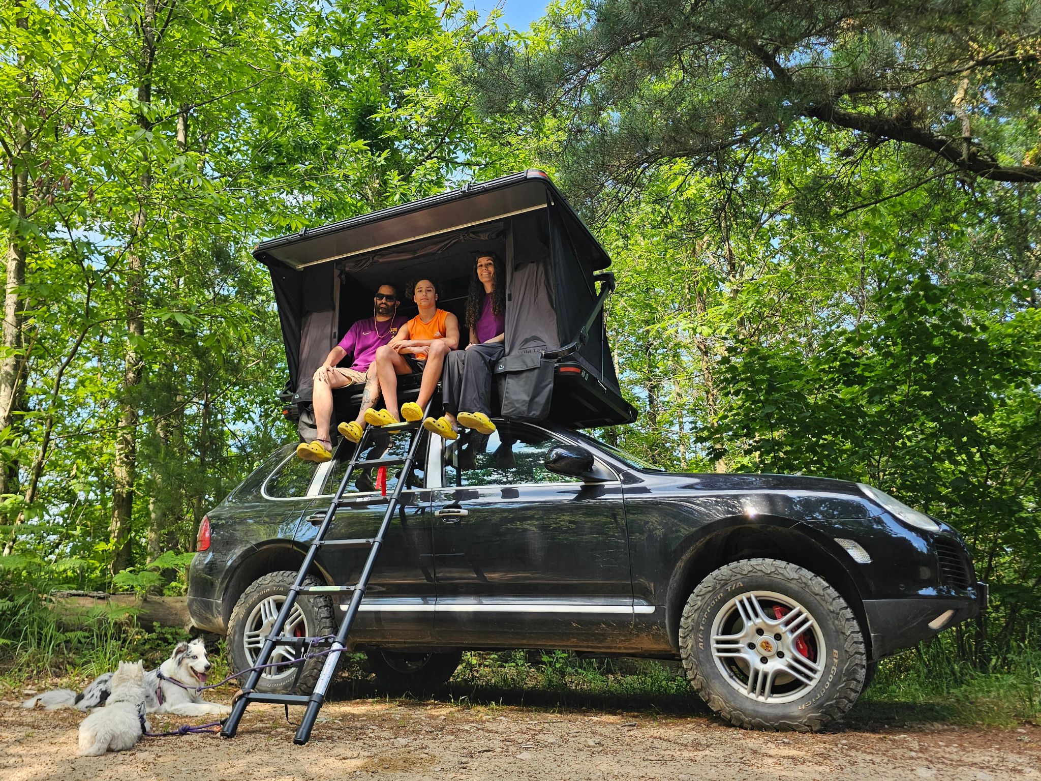 familia con perros en 4x4 con tienda en el techo