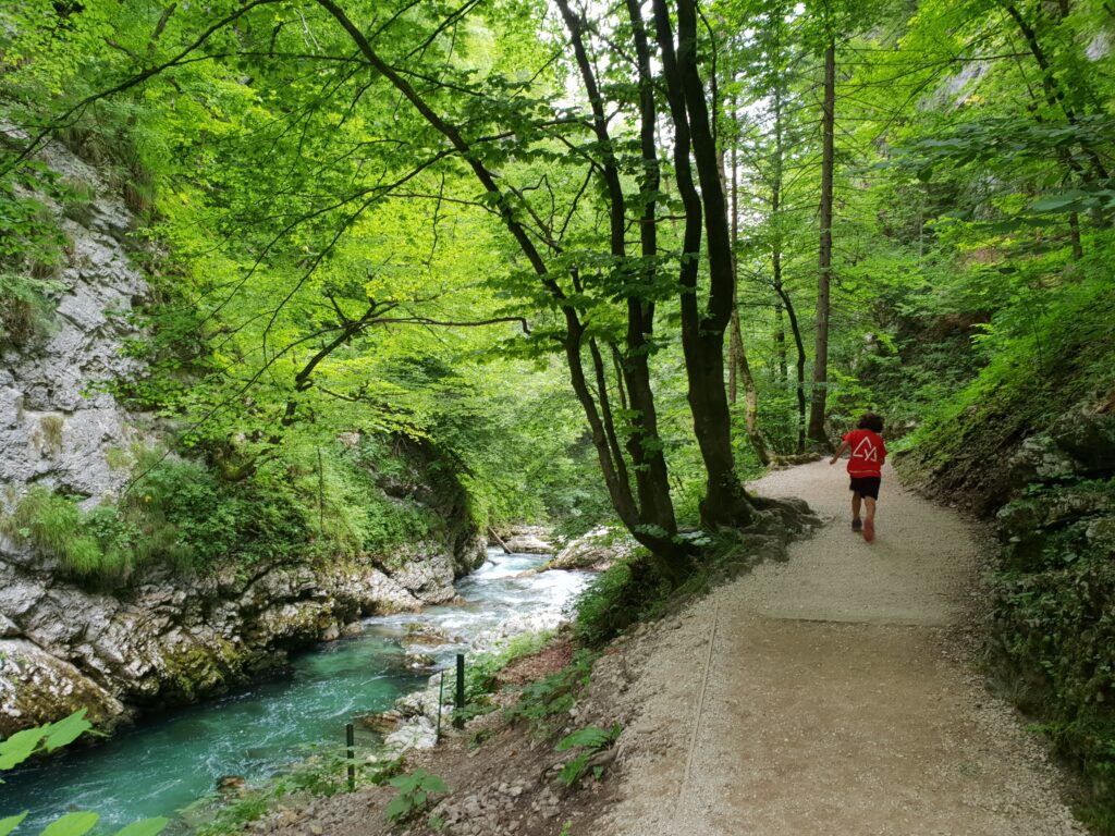 Niño corriendo por el sendero junto al río turquesa de la garganta de Vintgar