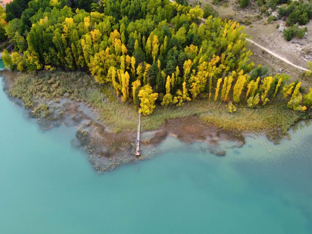 Vista aérea de una de las lagunas de Cañada del Hoyo rodeada de pinar, Cuenca