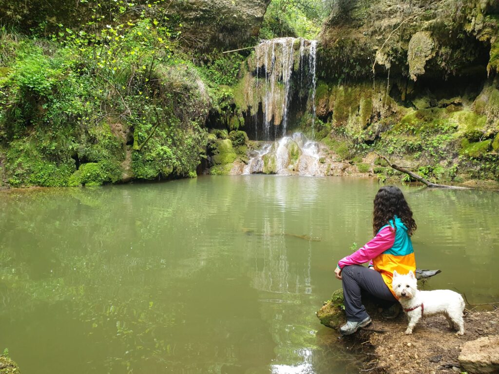 Mujer con su perra contemplando una cascada en ruta por la naturaleza