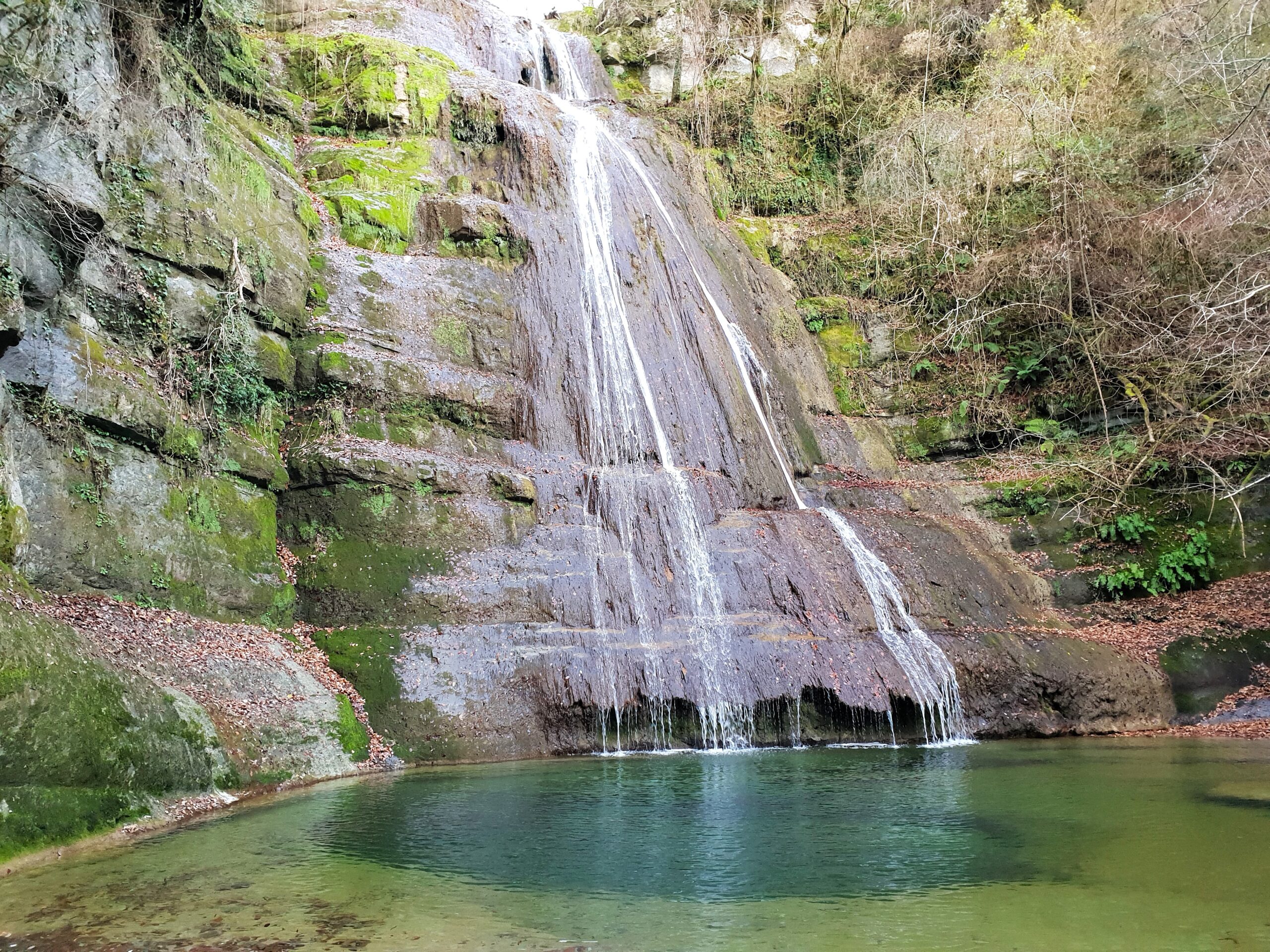 Perspectiva del salt de l'olla y su poza en la garrotxa